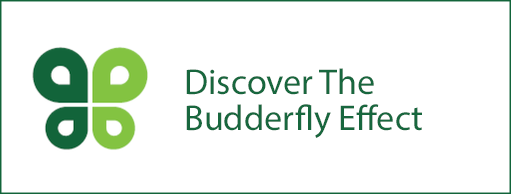 cta-budderfly-effect